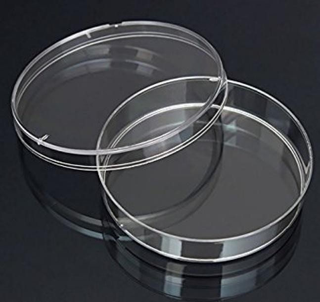 Petri Dishes